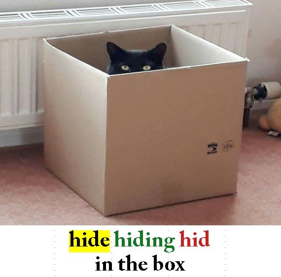 Hide